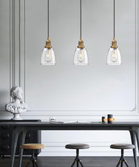 Phansthy Vintage Pendant Light Industrial Hanging Bell Glass Shade Ceiling Lamp Pendant Fixture (Black)